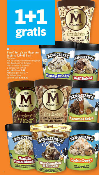 Ben & Jerry's en Magnum ijspints 427-465 ml