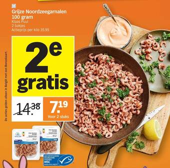 Grijze Noordzeegarnalen