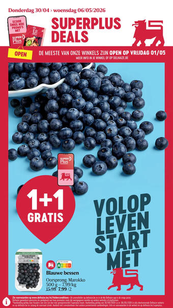 Delhaize