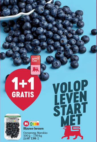 Blauwe bessen