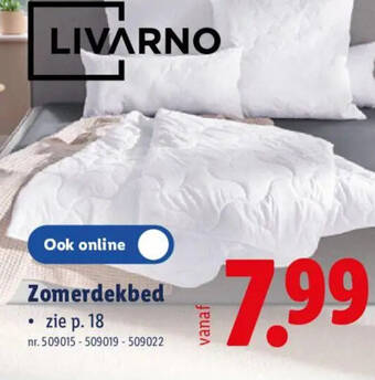 Livarno Zomerdekbed