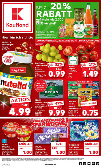 Kaufland Prospekt