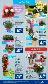 Aldi Süd