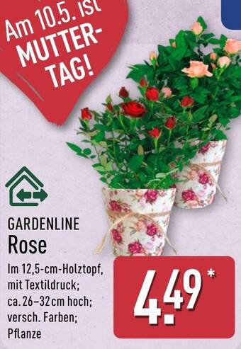 GARDENLINE Rose