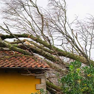 Apoios à reconstrução após tempestades: quem tem direito e como pedir?