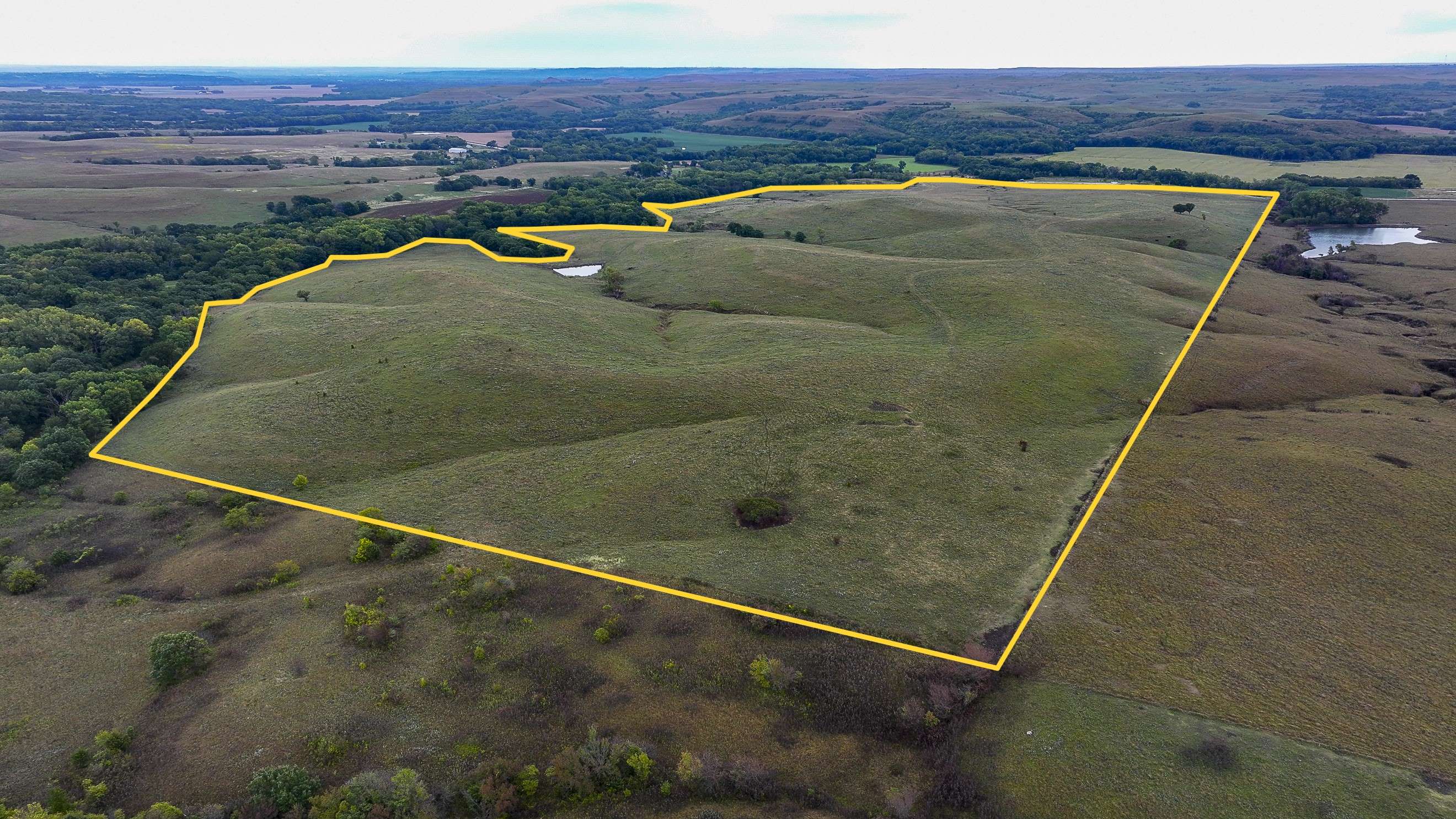 2,200 Acre Auction