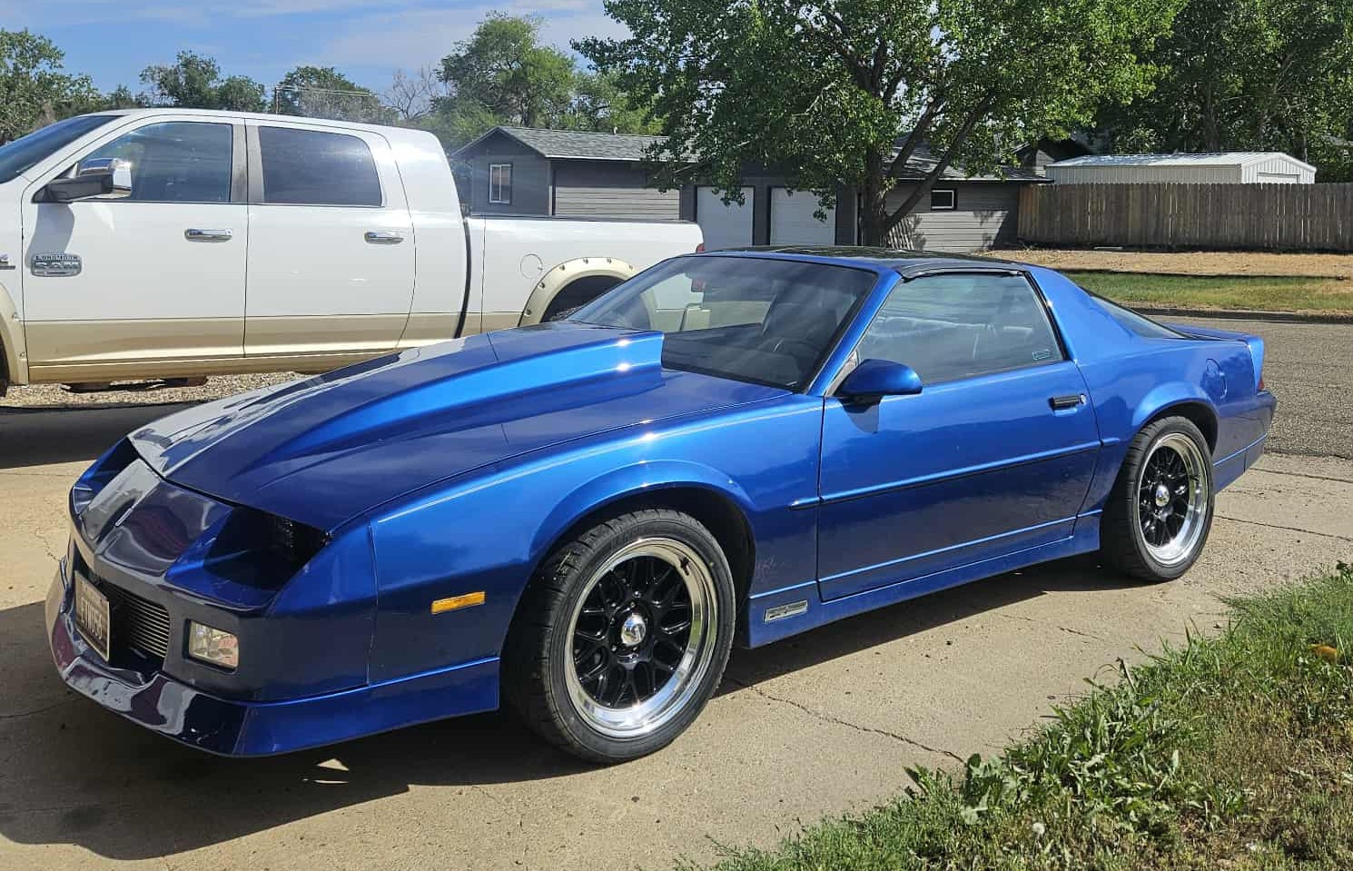 Fall Auction - Featuring The Jay Cimino Collection