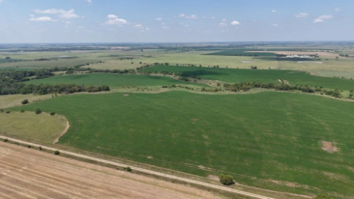 182 Ac +/- One Tract Auction