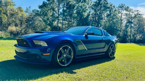 Part 3 - Medici Royal Family Estate Auction and More