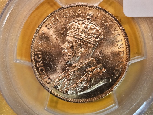 Night Timed Coin Auction