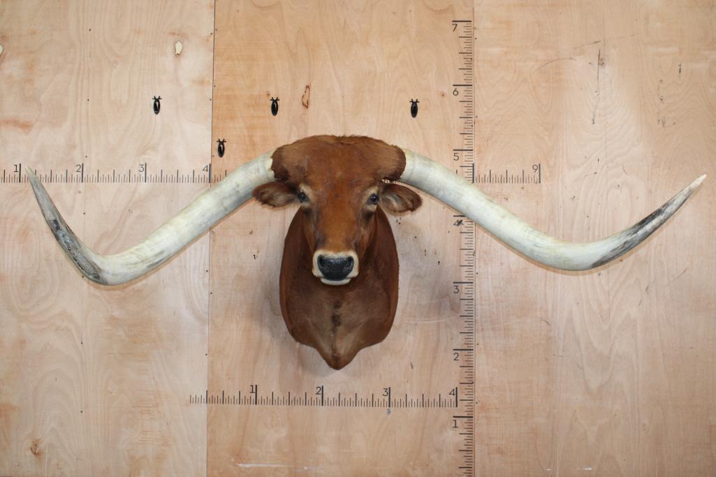 Western Sportsman 2-Day Auction  