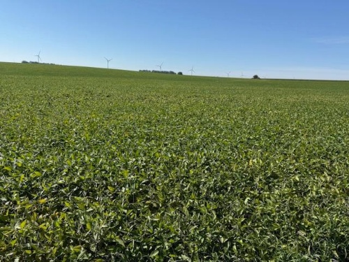 WS Farms Land Auction