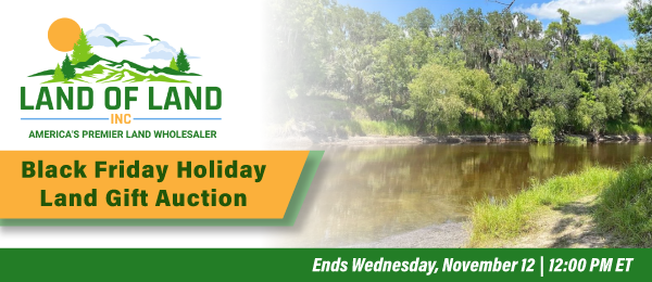 Black Friday Holiday Land Gift Auction! Lots start closing Wednesday, November 12, 2025  |  12:01 PM Eastern