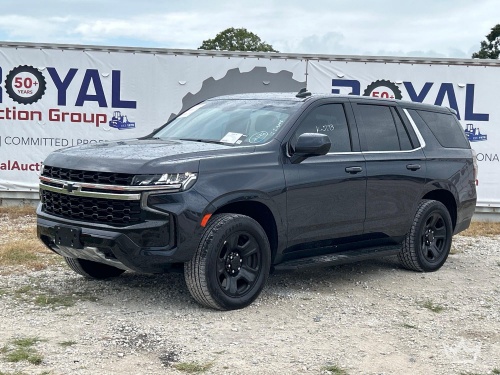 Day 3 - Central Florida Auction