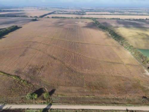 1,400 Ac, 10 Tract Auction
