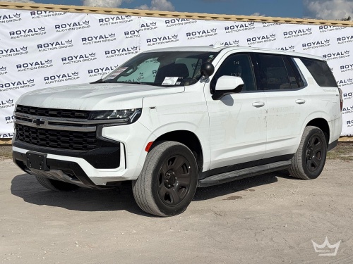 Day 3 - Southwest Florida Auction