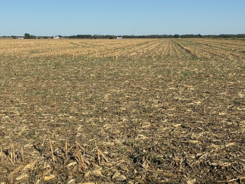 Adams County, IL Land Auction