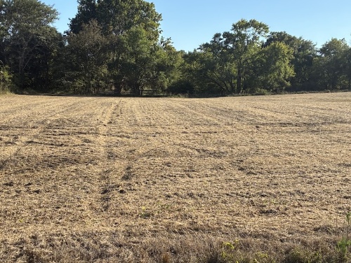 Adams County, IL Land Auction