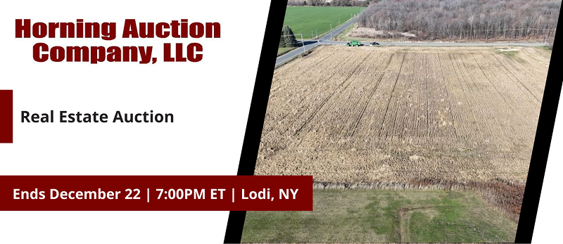 Real Estate Auction | Bidding ends Monday, December 22, 2025  |  7:00 PM Eastern