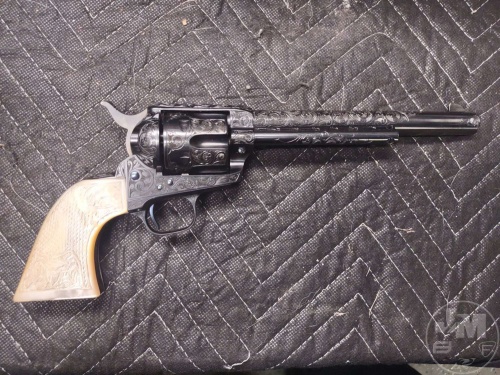 Large Firearms Auction