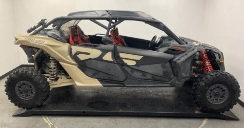 Live December End Of Month Auction