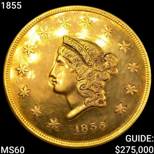 Kentucky Knight Coin Auction