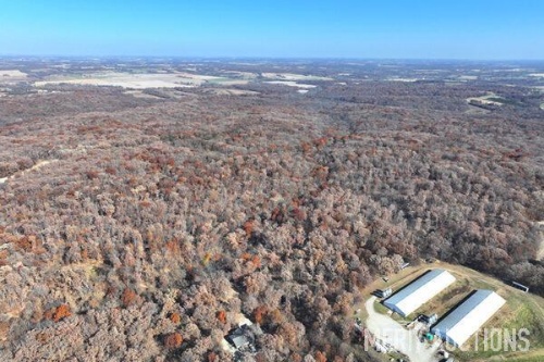 Virtual Live Auction