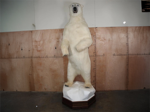 Western Sportsman 2-Day Live Auction  