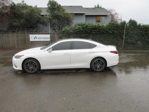 Day 1 - Online Public Auction