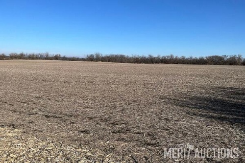 Robert Johnston, Susan Orwig, & Victoria Johnston<br>Virtual Live Auction