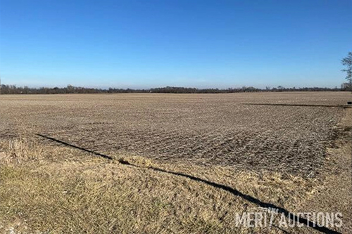 Robert Johnston, Susan Orwig, & Victoria Johnston<br>Virtual Live Auction