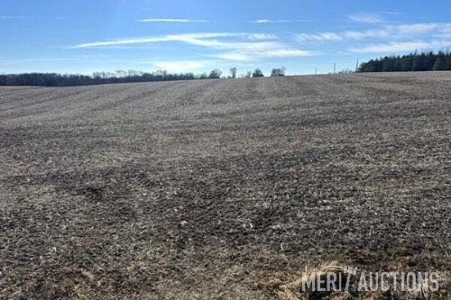 Yokoi Living Trust Virtual Live Auction