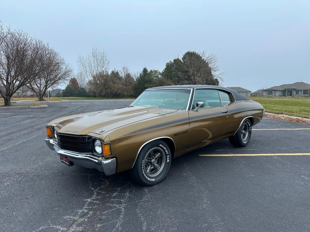 Spring Time Public Auto Auction