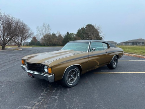 Spring Time Public Auto Auction