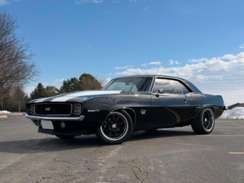 Spring Time Public Auto Auction