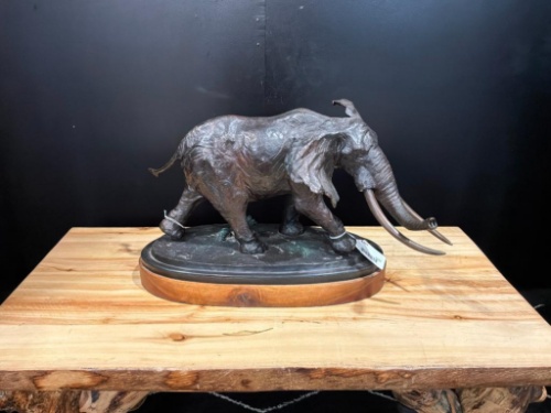 Friday Taxidermy March Auction
