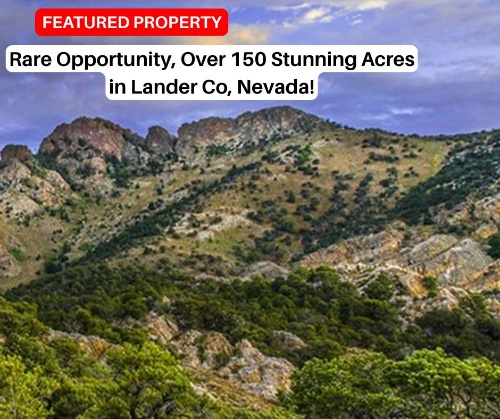 Land Auction: Real Assets in Uncertain Times