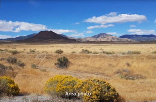 Land Auction: Where Smart Investors Start