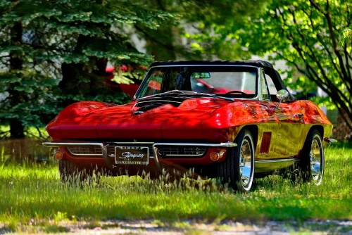 Day 2 - Michigan Premier Collector Car Auction