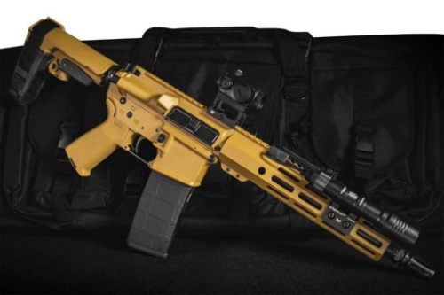 Chicago Premier Firearms Auction