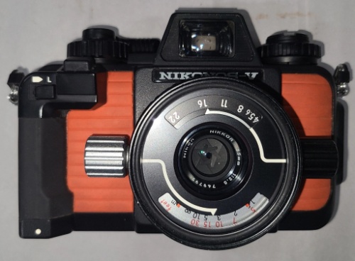 Estate Camera Collection