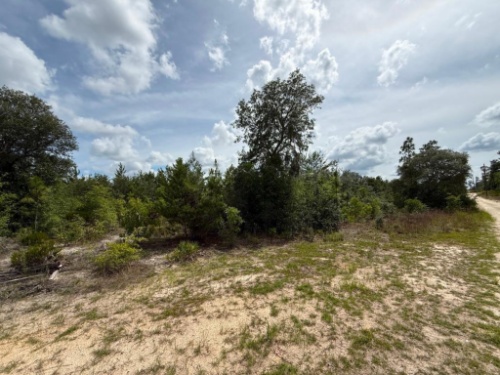 Multi Property Real Estate ABSOLUTE Auction - FL