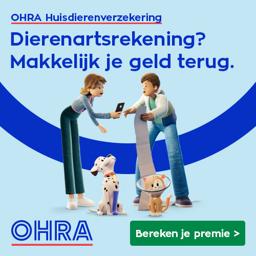 Max. 2.550.000 Qoins per aankoop