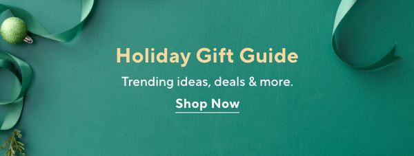 holiday gift guide