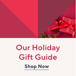 holiday gift guide