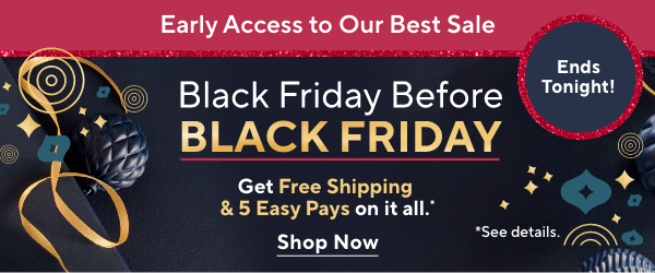 Black Friday Sale 