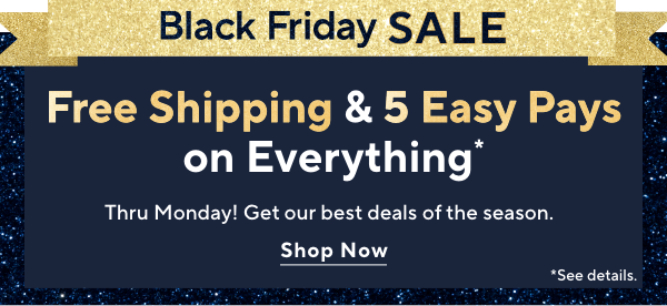 black friday sale