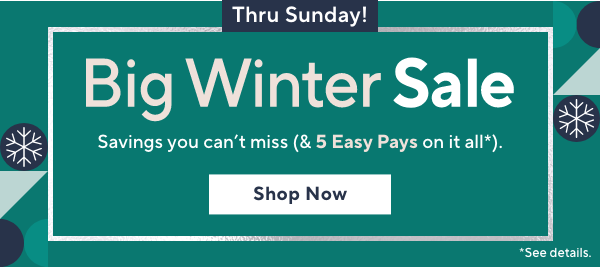 big winter sale 