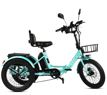 Vesla Folding Low-Step 750W E-Trike w/16MPH Speed & Accessories