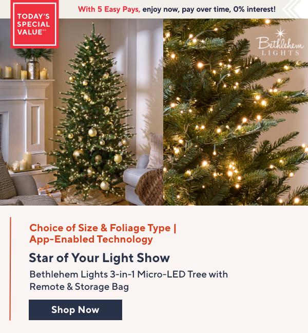 Bethlehem Lights TSV 